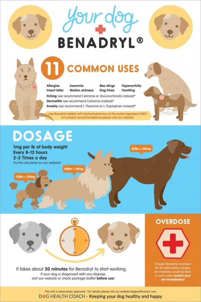 benadryl for dogs dosage chart