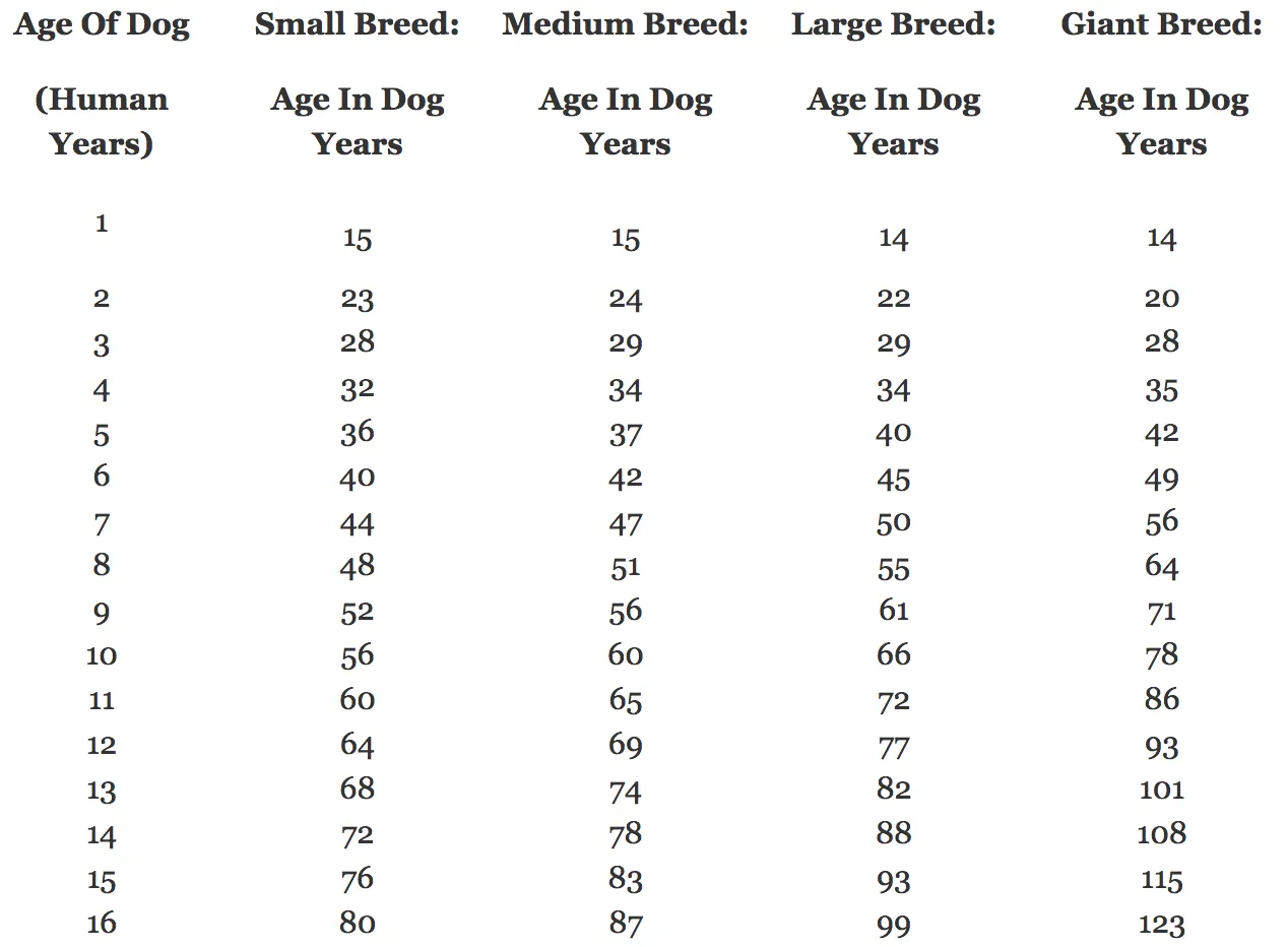 How much is 8 best sale years in dog years