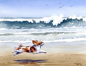 “Cavalier King Charles Spaniel at the Beach” Oversized 11 x 14 Watercolor Cavalier King Charles Spaniel Art Print Signed by Artist DJ Rogers