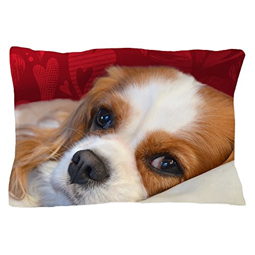 CafePress – Cavalier King Charles Spaniel – Standard Size Pillow Case, 20″x30″ Pillow Cover, Unique Pillow Slip