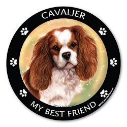 Cavalier King Charles Cocker Spaniel My Best Friend Magnet