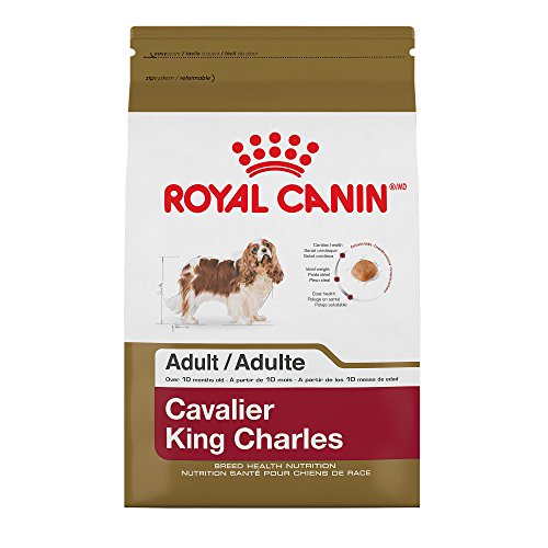 Royal Canin 510810 Breed Health Nutrition Cavalier King Charles Adult Dry Dog Food, 10 lb