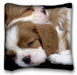 My Honey Pillow Pillow Cover Cavalier King Charles Spaniel Dream Puppy Dog Spaniel 18 in18 Twin Sides