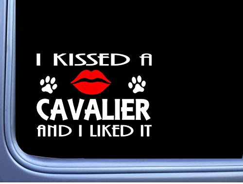 Cavalier Kissed L907 8″ Spaniel dog window decal sticker