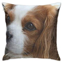 Throw Pillow Cover Cute Cavalier King Charles Spaniel Decorative Pillow Case Decor Square 18×18 Inch Cushion Pillowcase